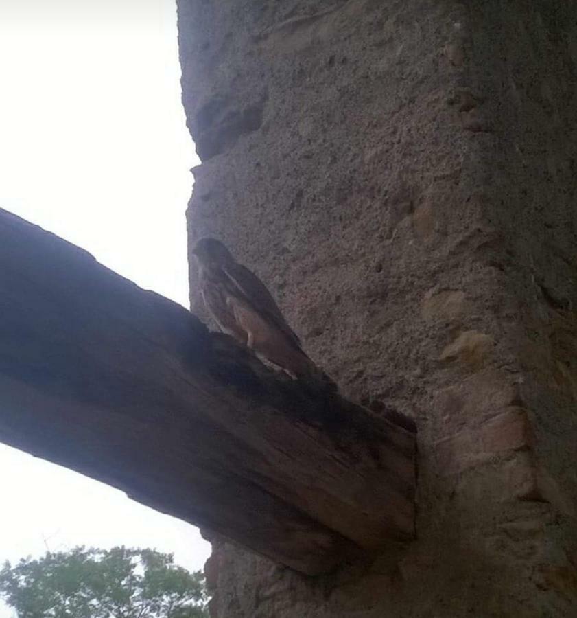 Cascina Carrata Casa Vacanze Villa Parodi Ligure Bagian luar foto